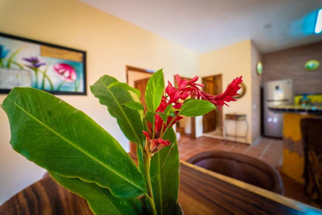 Villa Casa Palmito Cerca De La Playa à Yelapa Extérieur photo